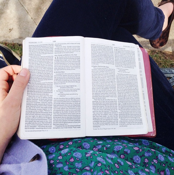 @laurenelizhook Thankful for a 70 degree day in the middle of winter and some outdoor quiet time in between classes. #sweetspots