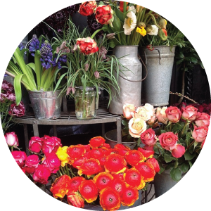 @picatoria Oh England! You are always charming me with your flowers! #sweetspots
