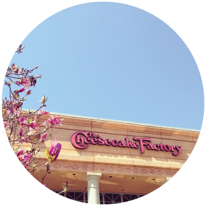 @laurenelizhook Caribou Coffee, Anthropologie, Pottery Barn, Cheesecake Factory. Mom needs to visit more often ;) #sweetspots