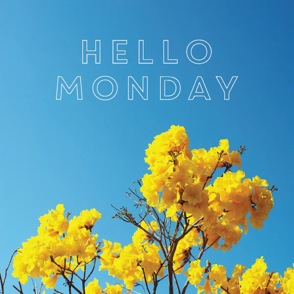 HelloMonday.jpg