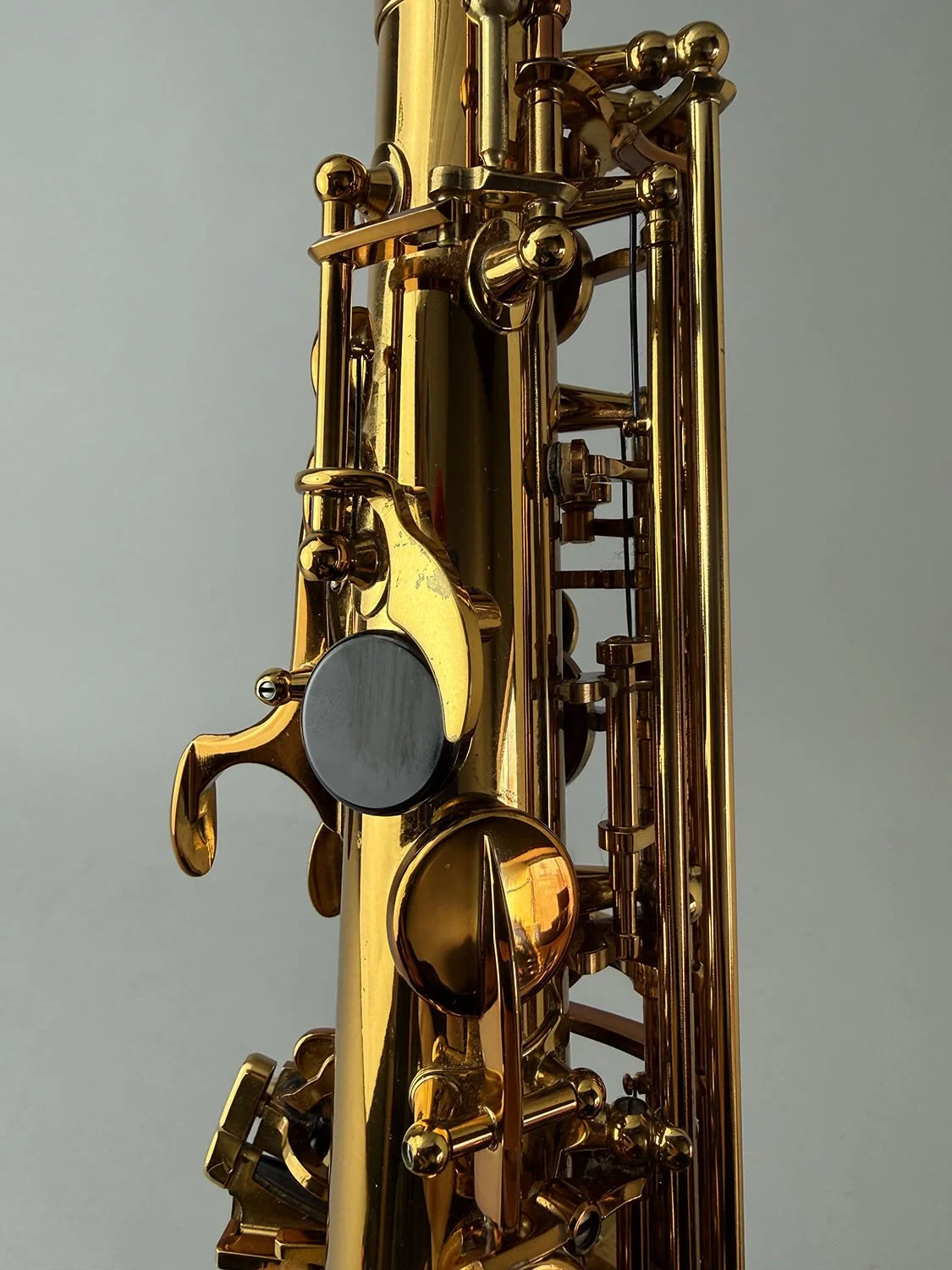 Selmer-Reference-54-Alto_703xxx_BarnardRepair_22.jpeg