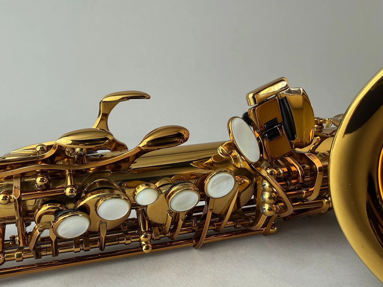 Selmer-Reference-54-Alto_703xxx_BarnardRepair_18.jpeg