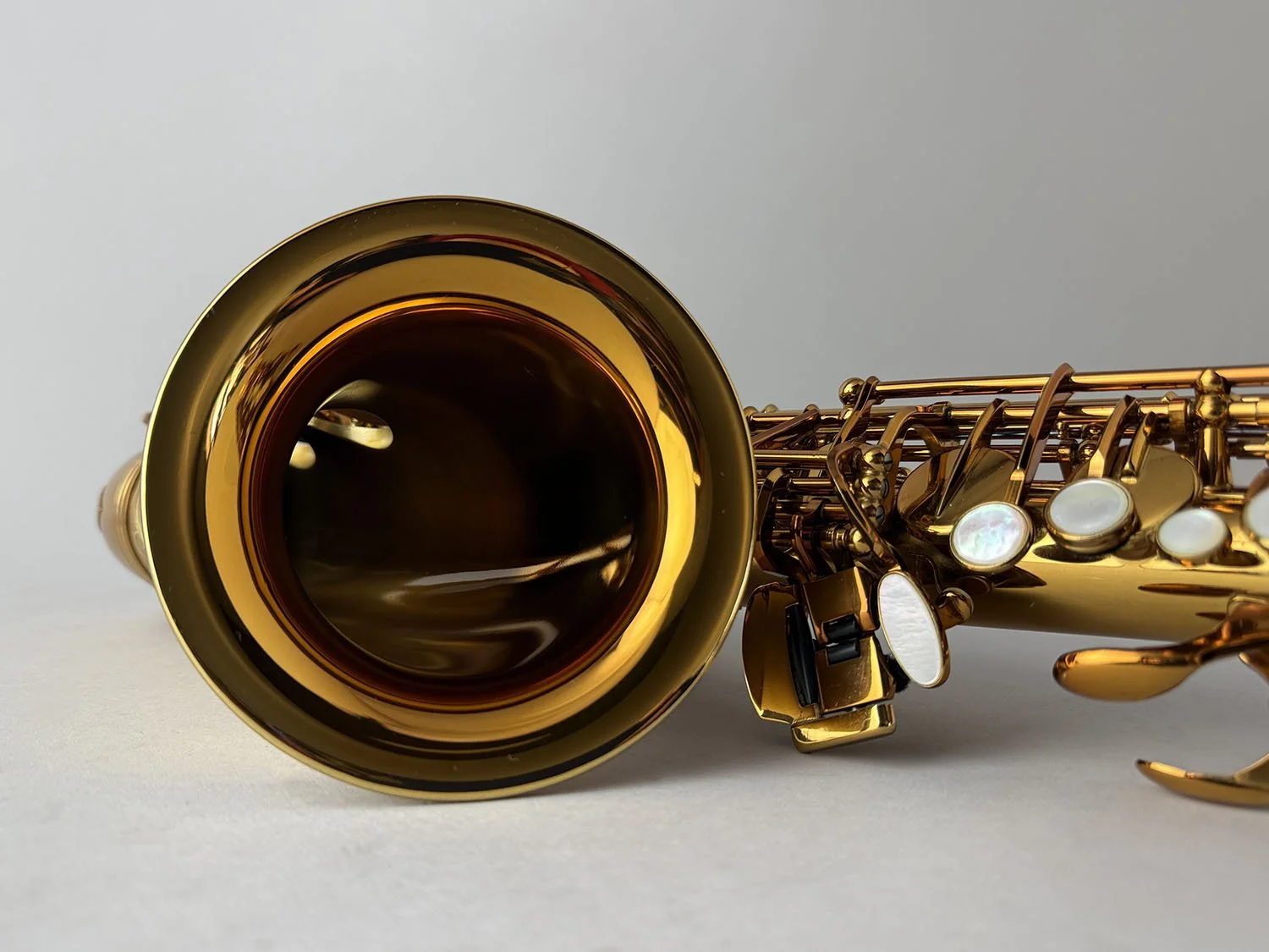Selmer-Reference-54-Alto_703xxx_BarnardRepair_15.jpeg