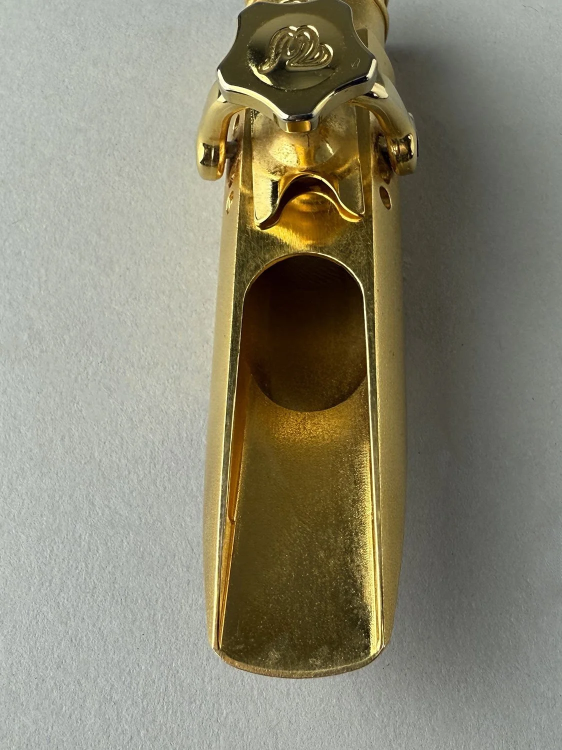 Theo-Wanne-Ambika-II-8-24k-Gold-Plated-Tenor_BarnardRepair_09.jpeg