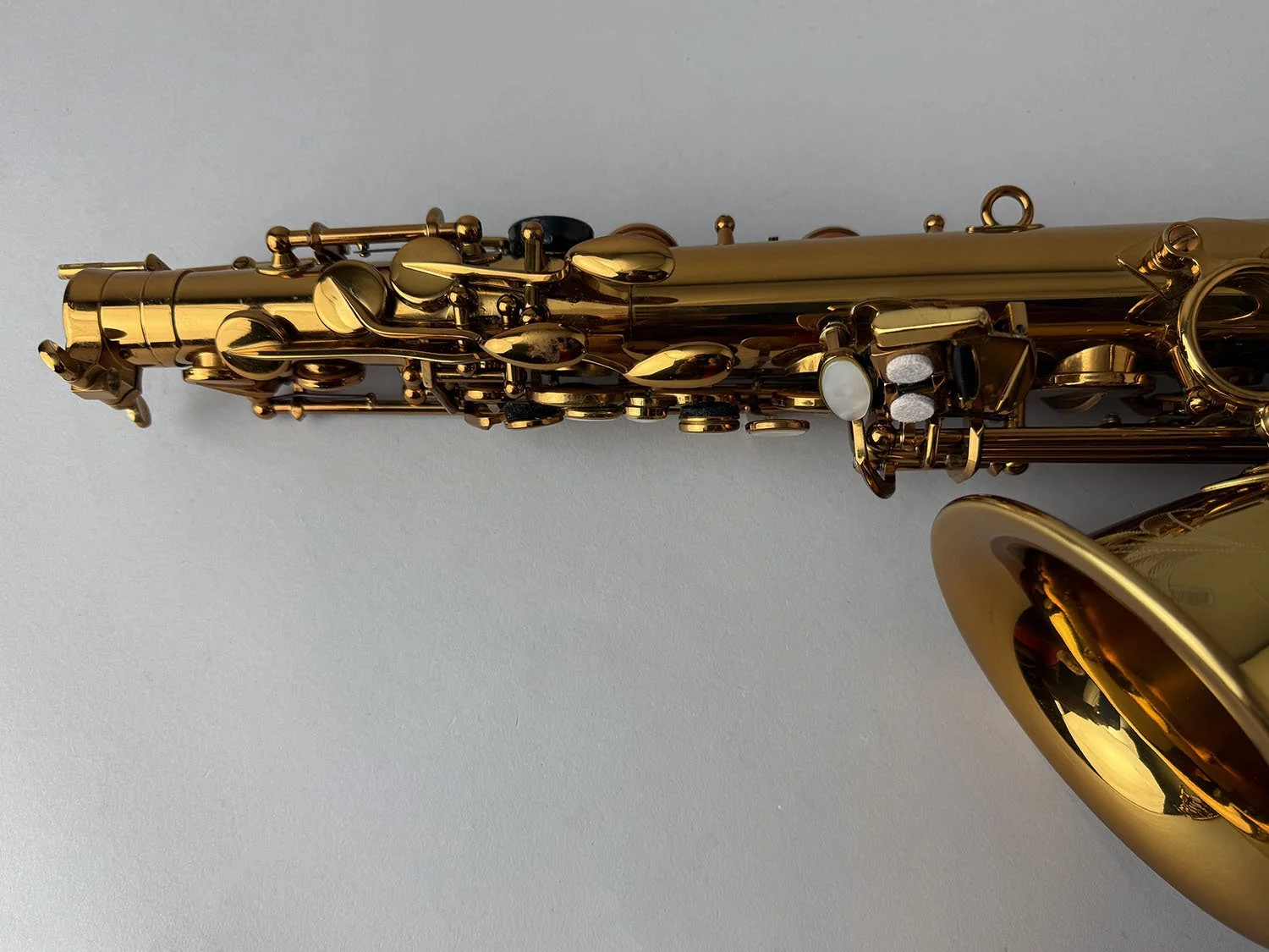 Selmer-Reference-54-Alto_657xxx_BarnardRepair_18.jpeg