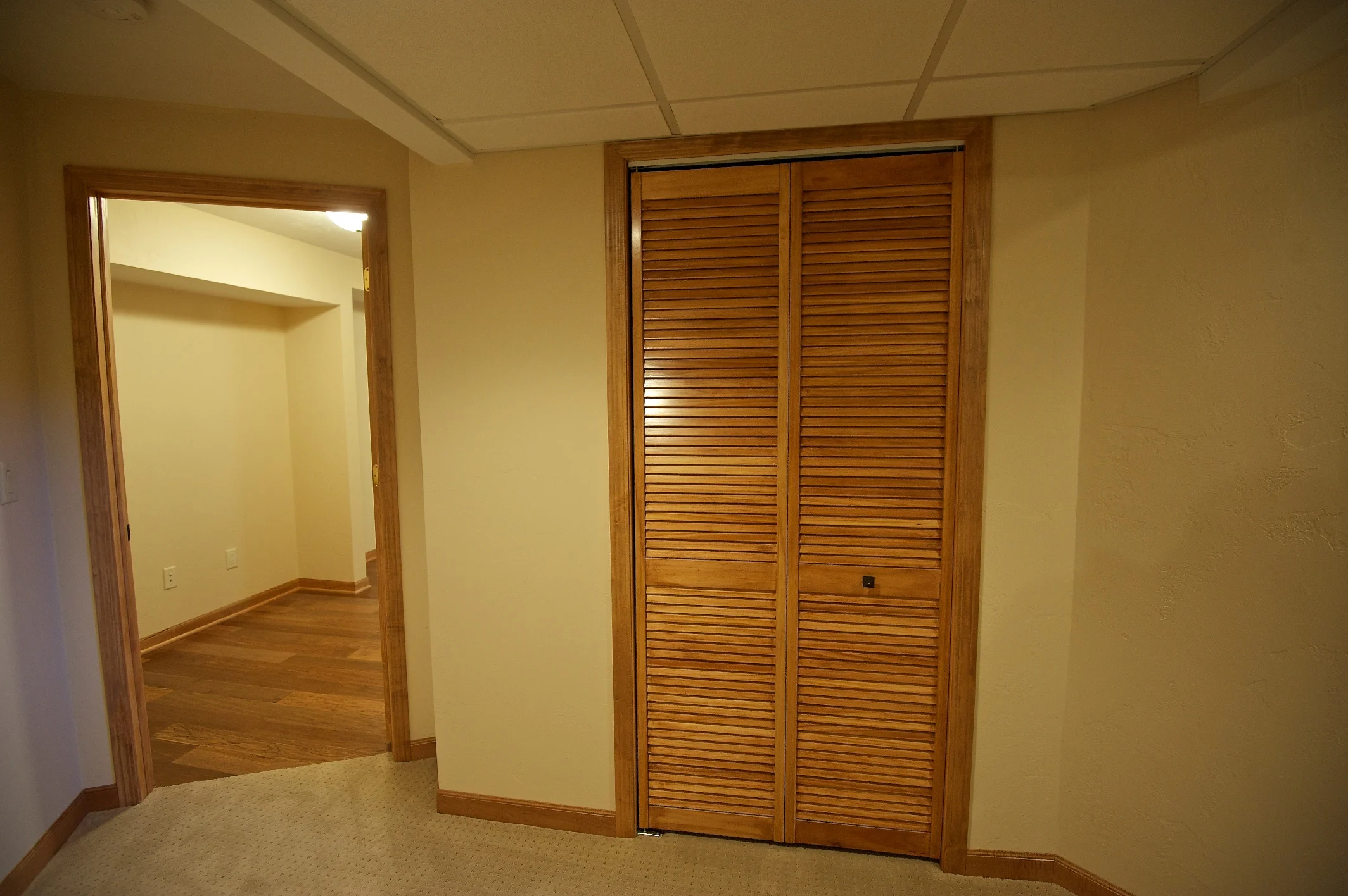Meadow Park Basement - After