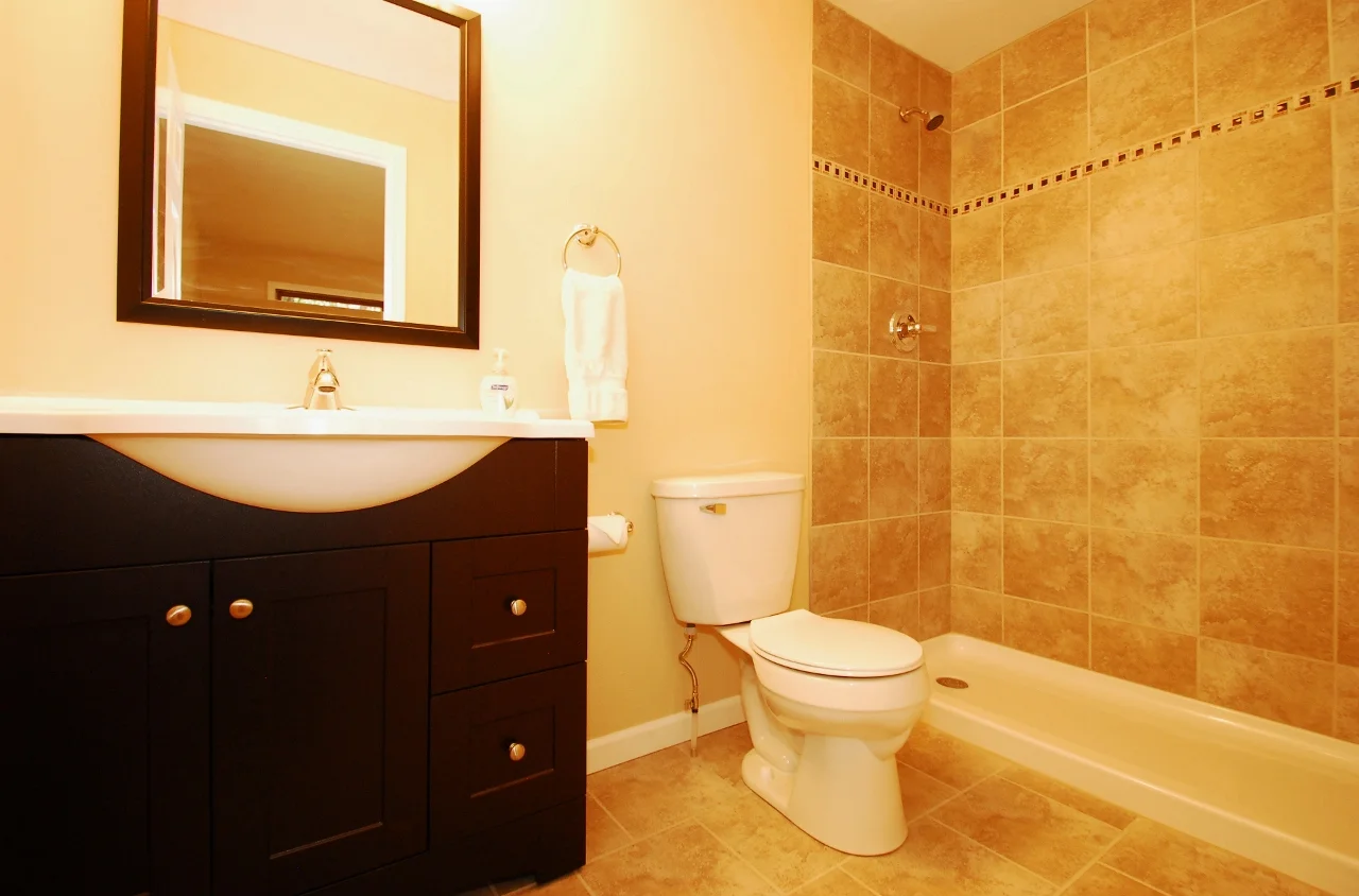 Carpenter Master Bathroom - After