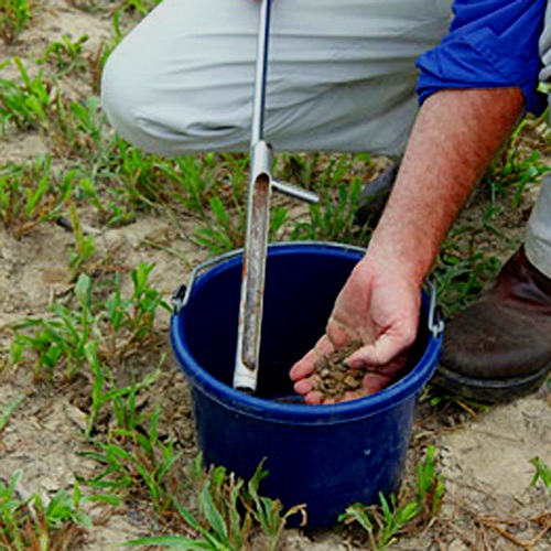 taking-a-soil-sample.jpg