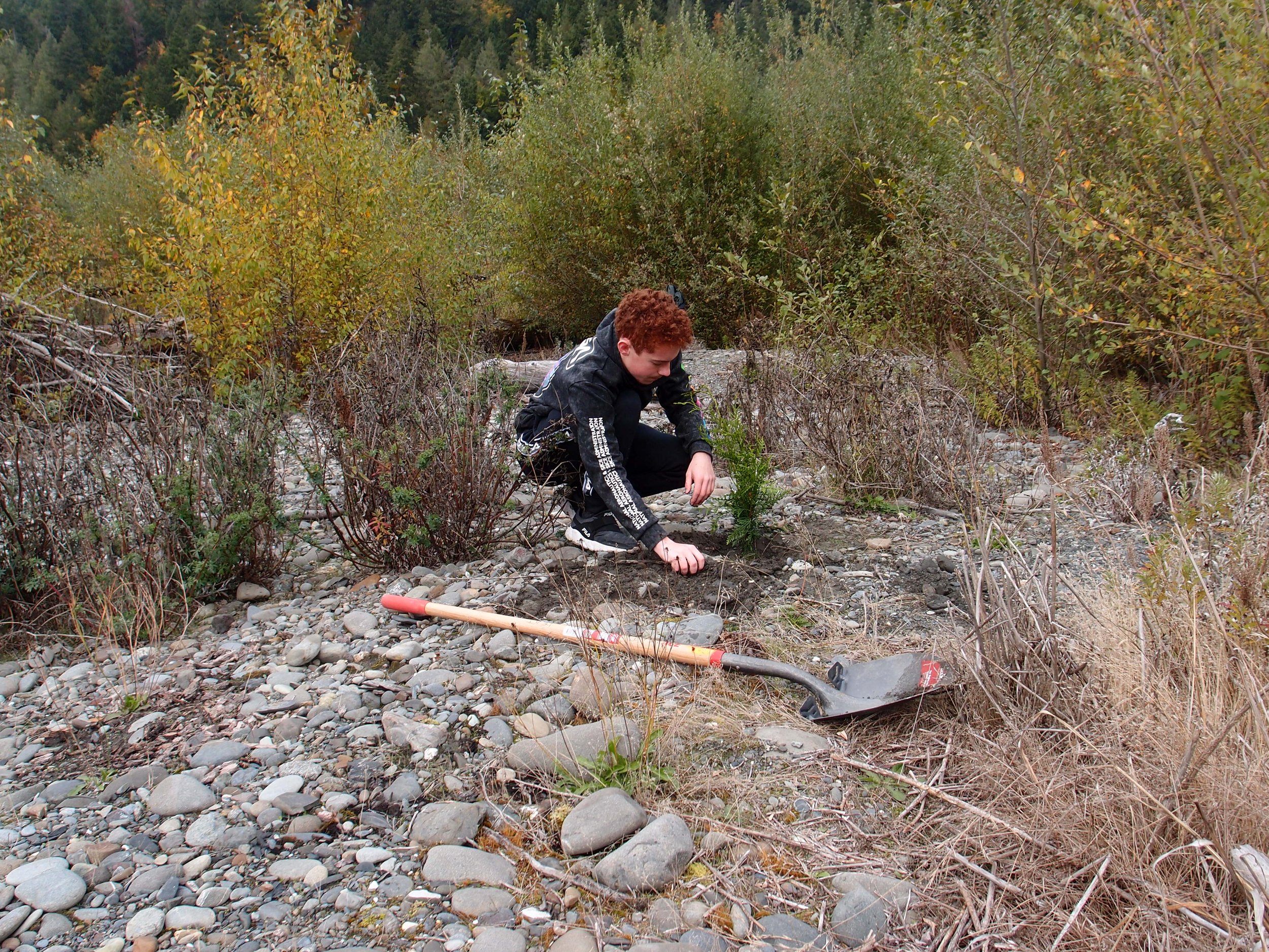 Clallam CD - ORD 2021 - Elwha planting - credit Kim Williams, CCD (20).jpg