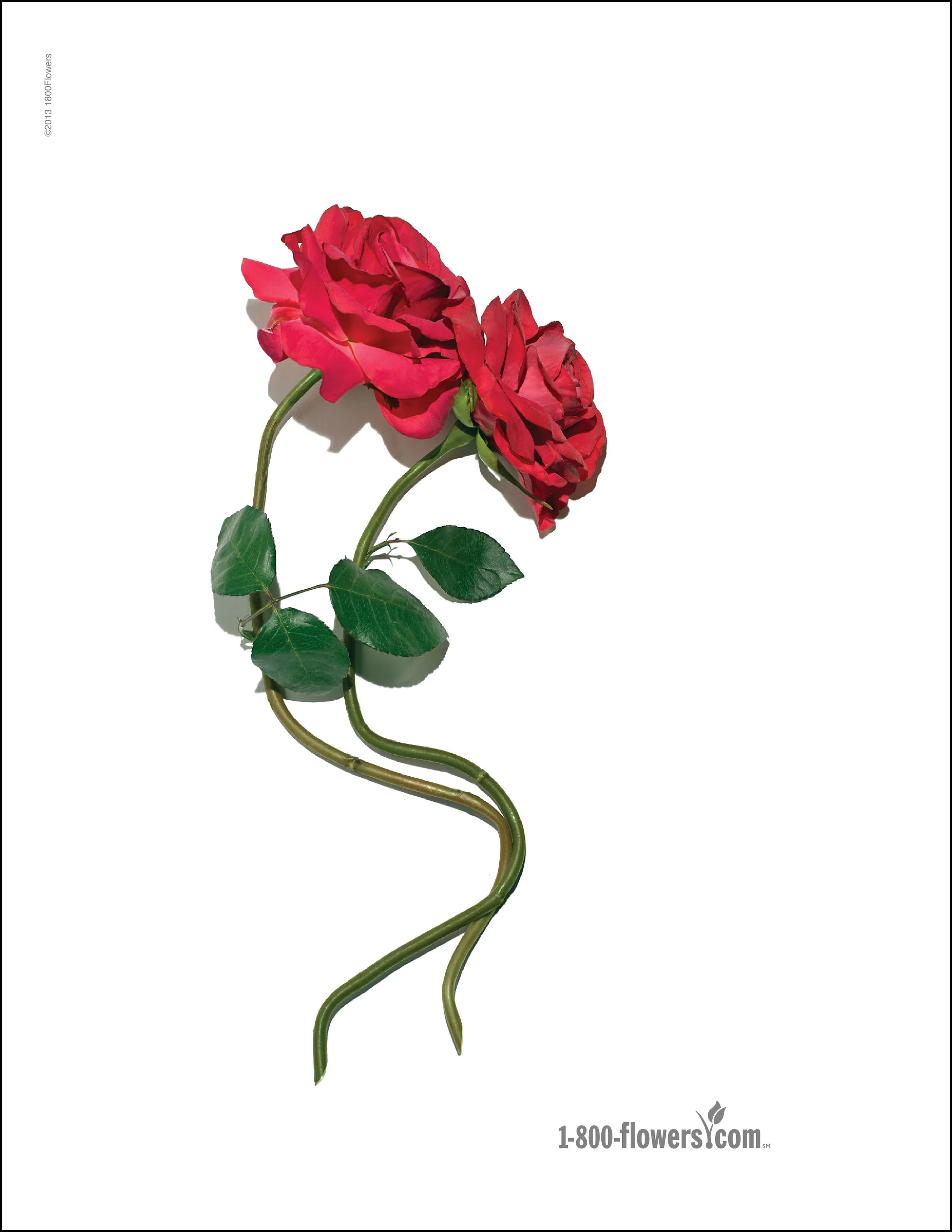 1800flowers-New-Layout3.jpg