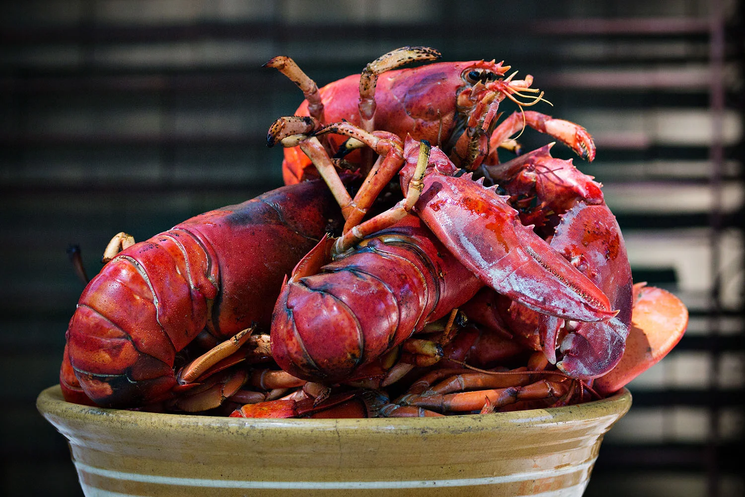 Lobsters.jpg