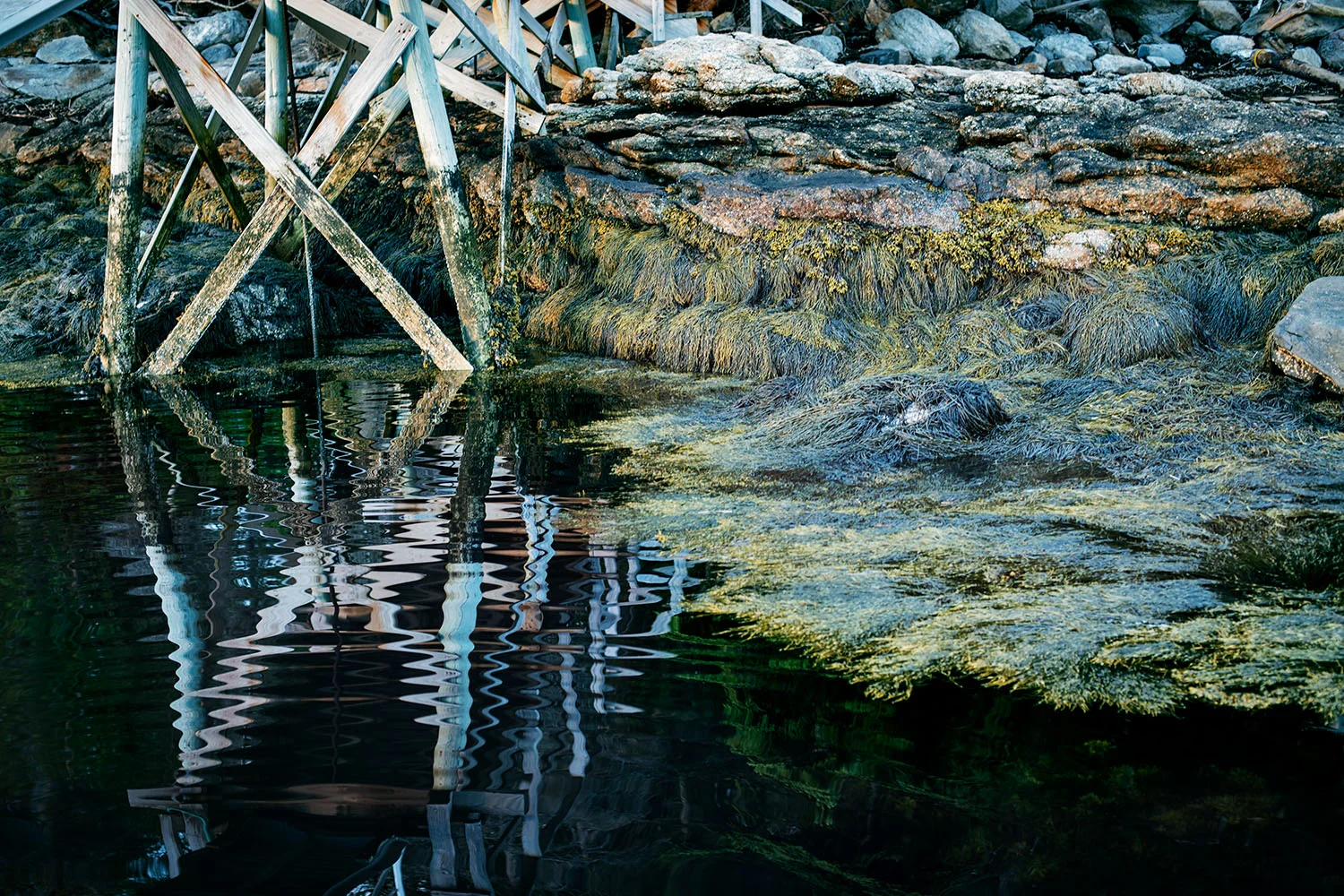Reflections2.jpg