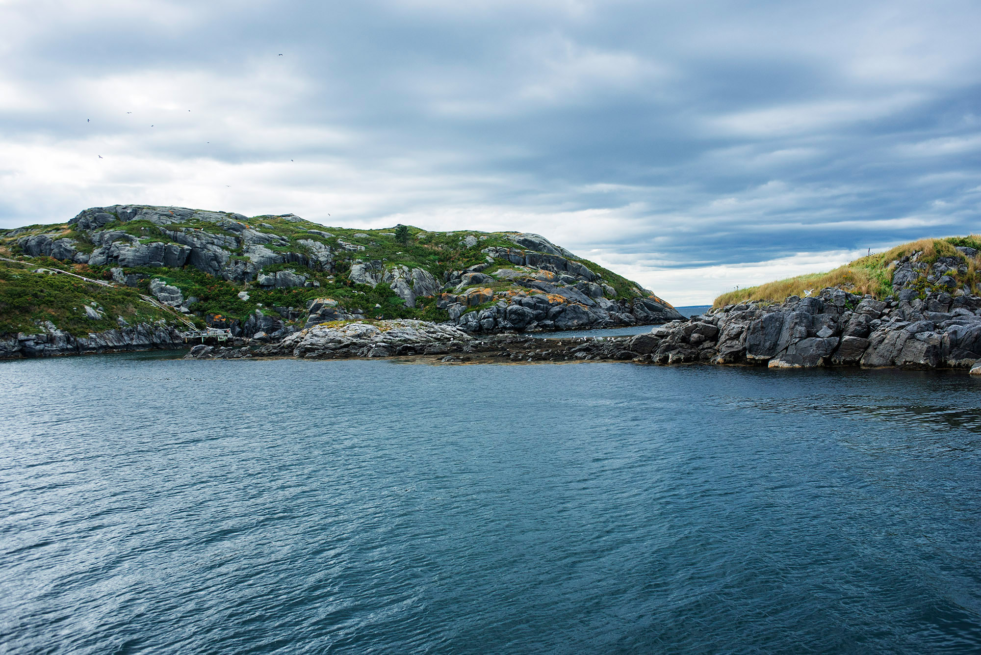 Cove.jpg