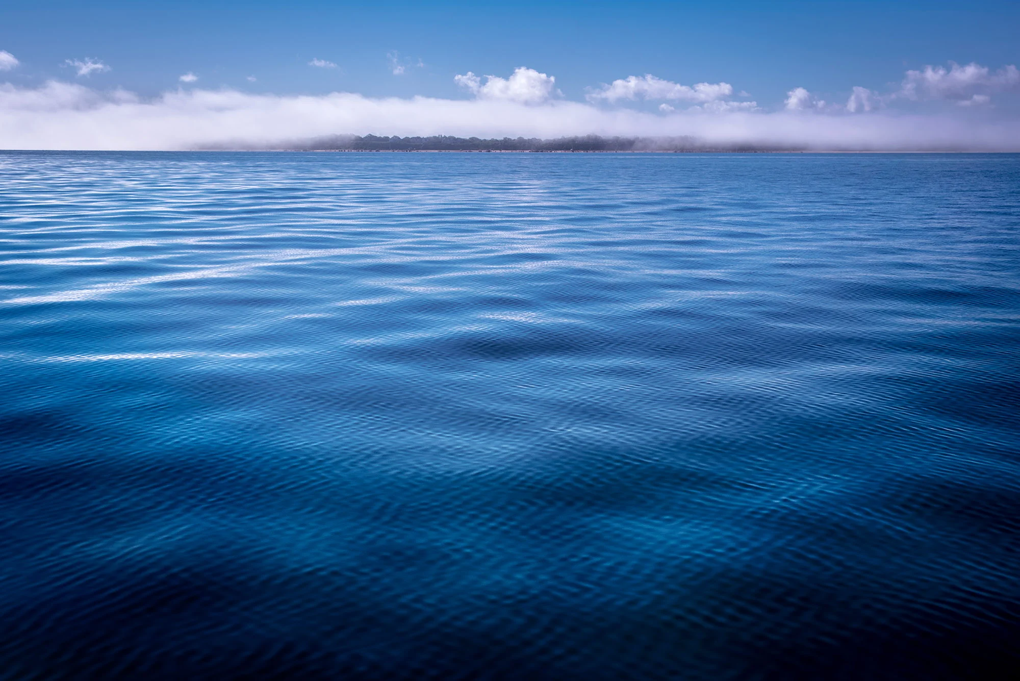 Stamped Swells2.jpg