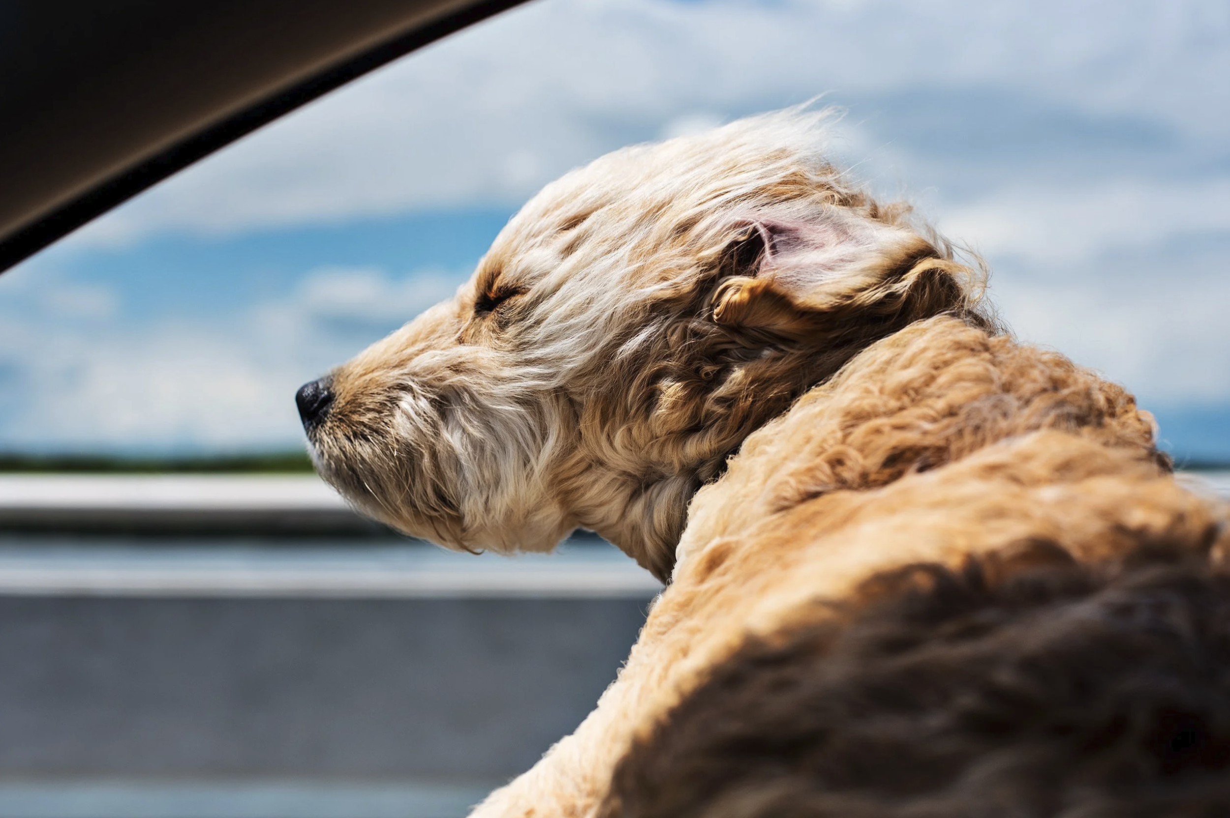 Screenshot 2026-01-22 at 1.49.35 PM.png