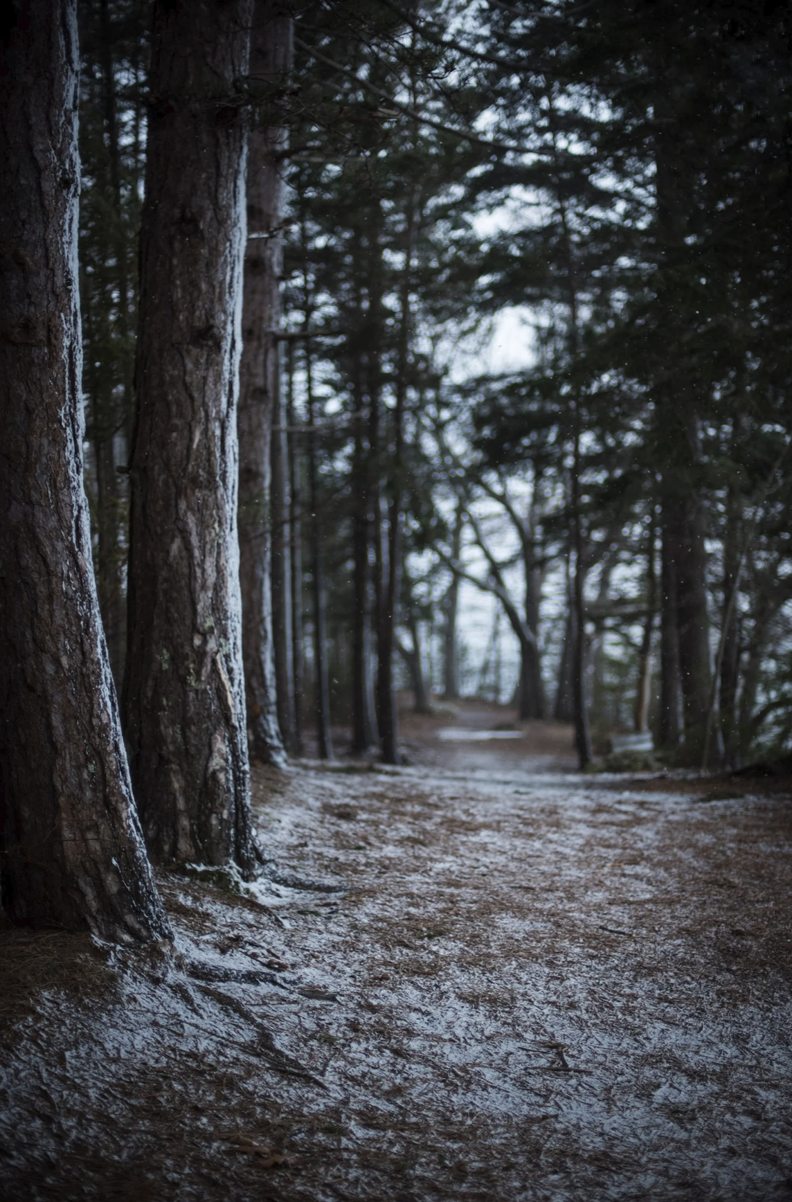 Screenshot 2026-01-21 at 11.42.19 AM.png