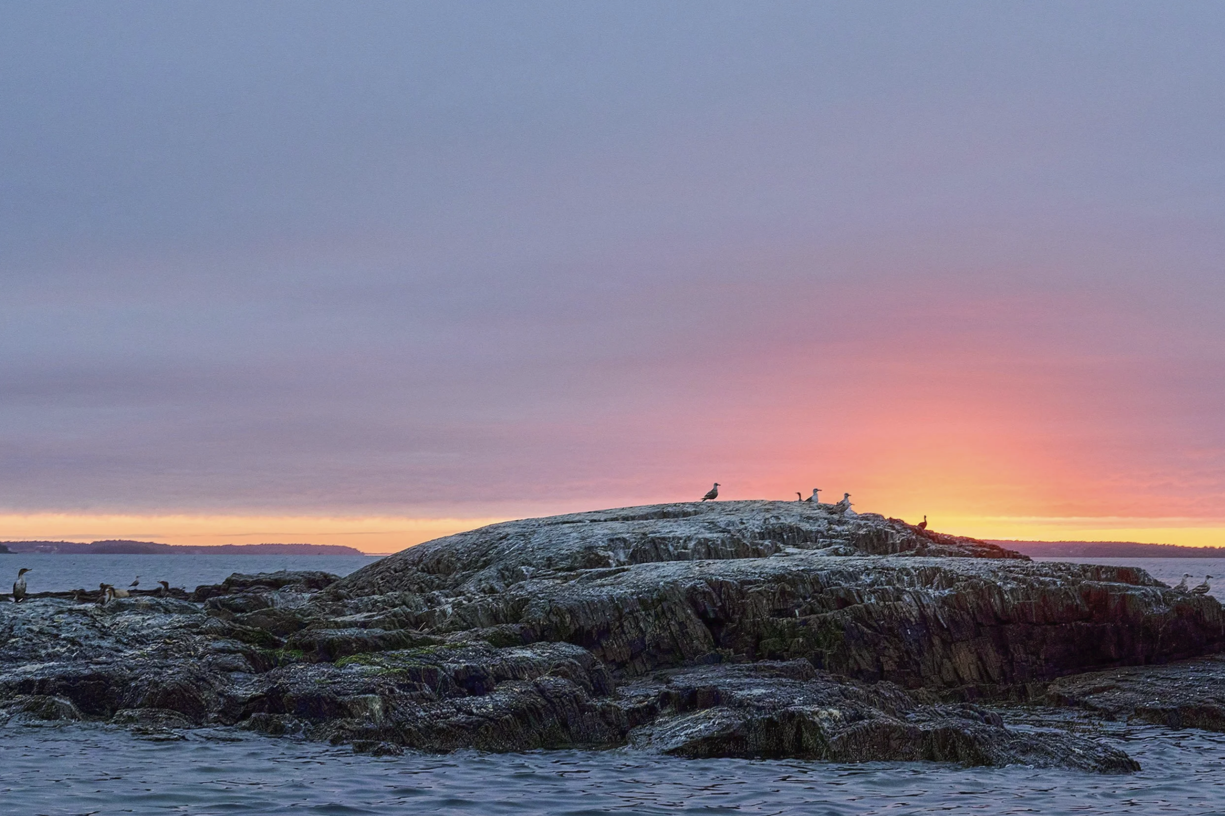 Screenshot 2026-01-21 at 11.43.22 AM.png