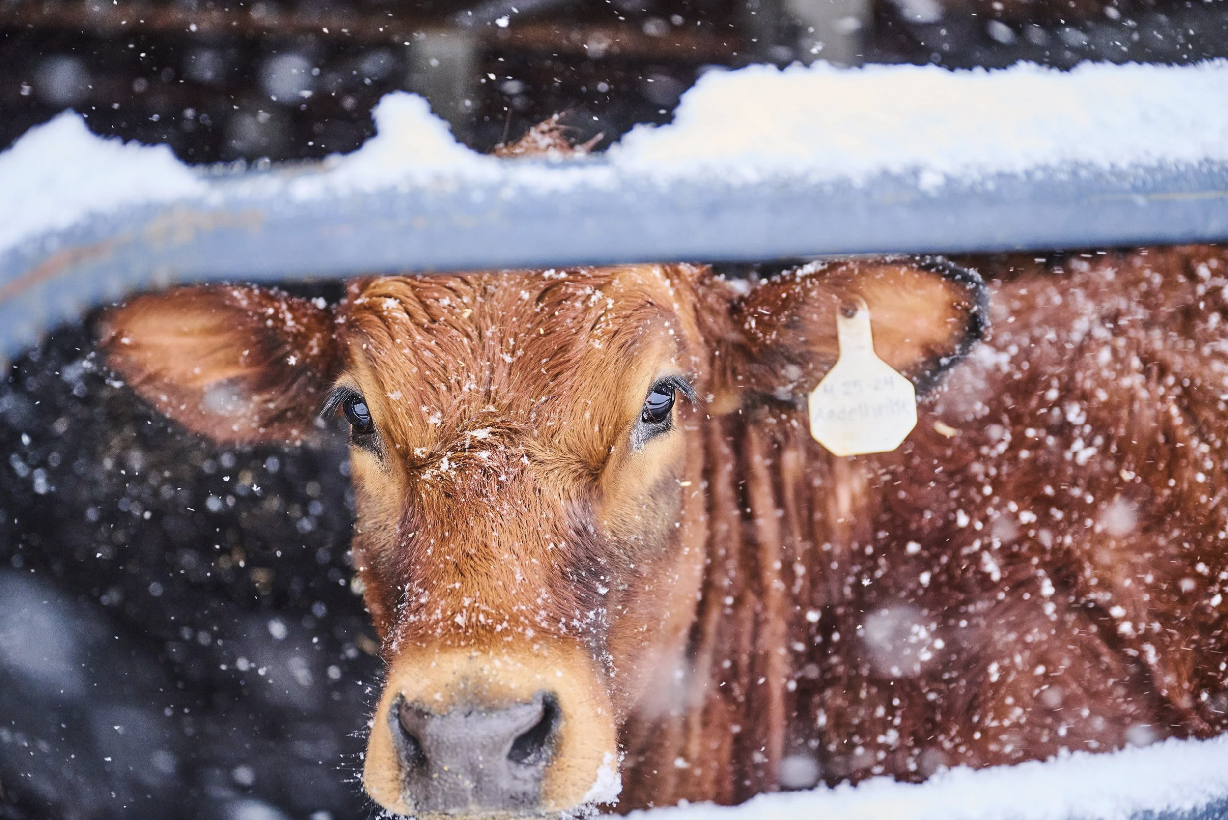 Screenshot 2026-01-22 at 1.56.00 PM.png