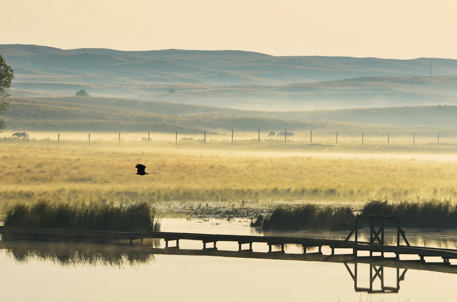 Moon Lake Ranch — A.C.Muller Enterprises