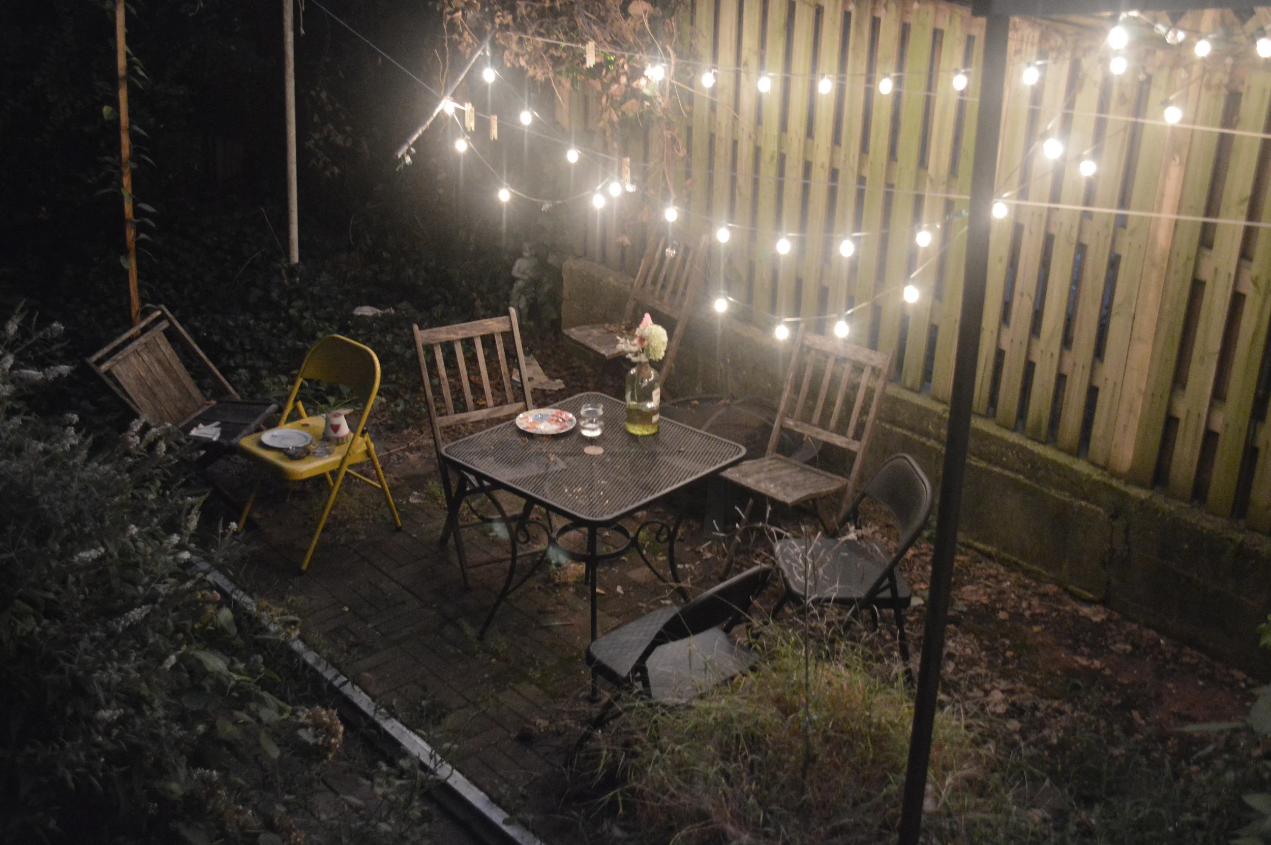 backyard1.jpg