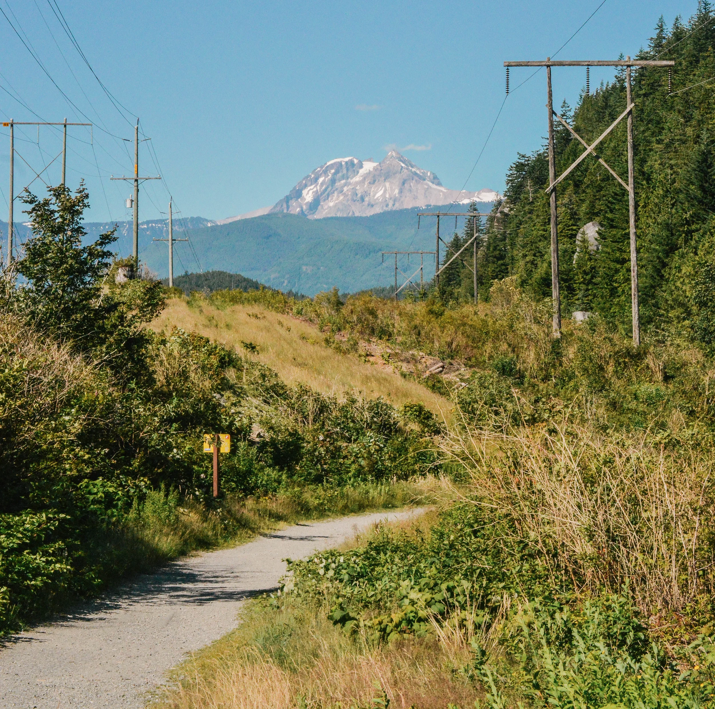 DSC_0655.jpg