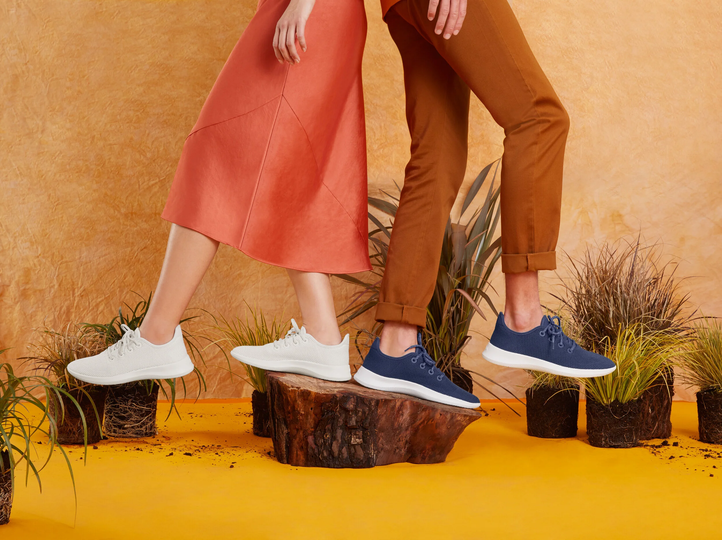 Allbirds_Evergreen9_2019.jpg