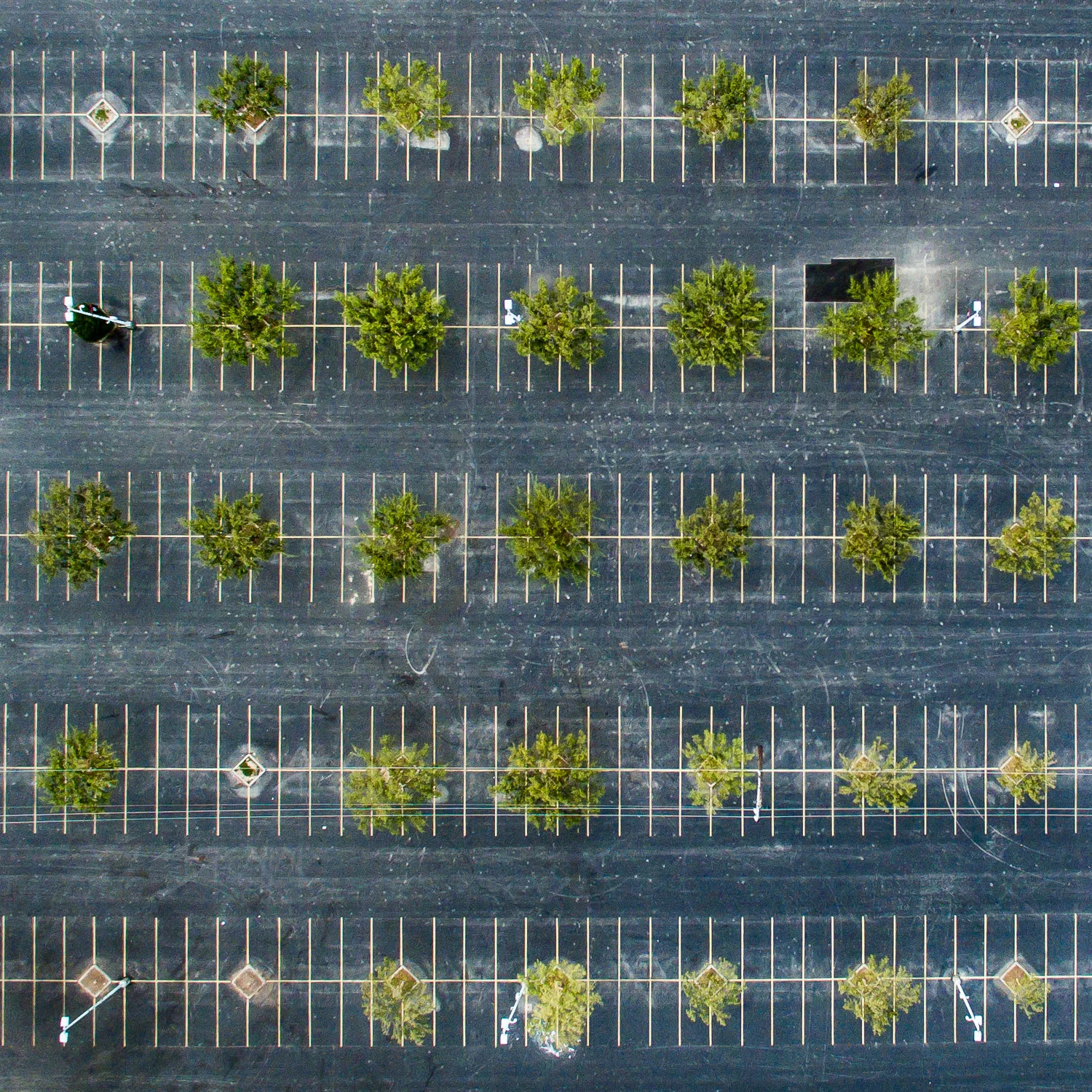 DJI_0189.jpg