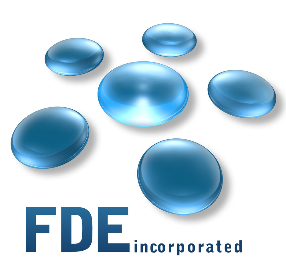 FDE Inc. Logo