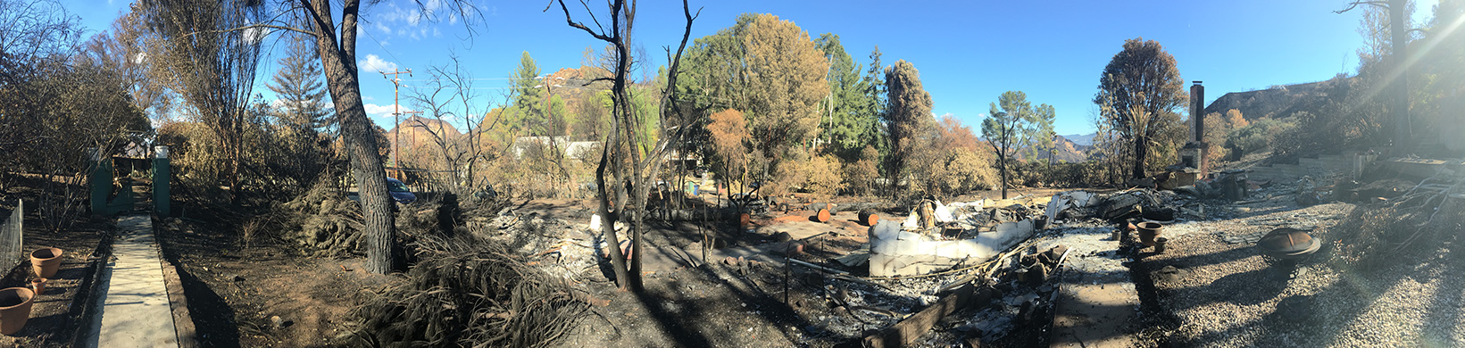 Panorama From Front Pathway