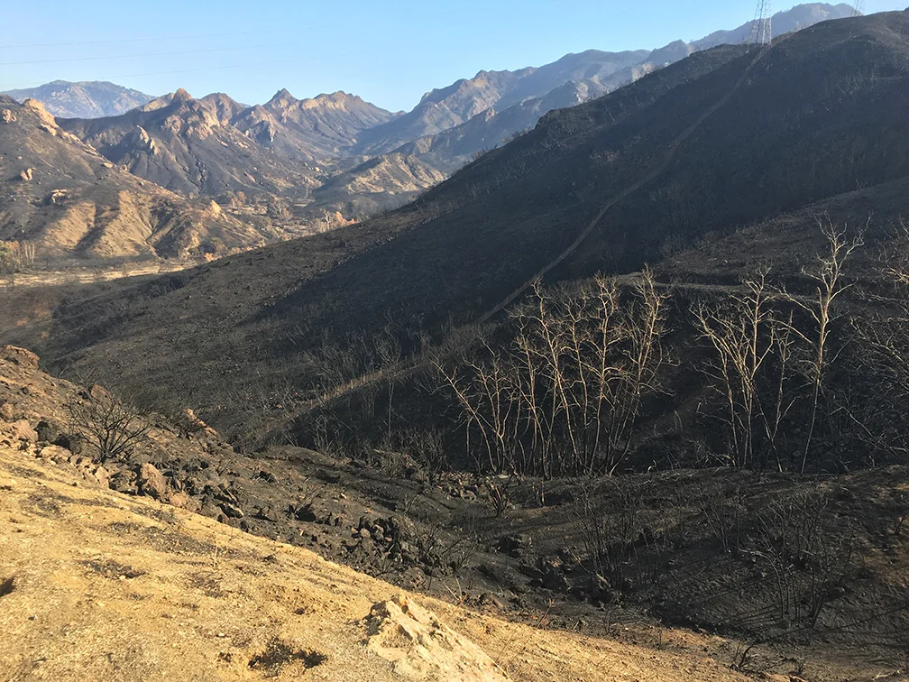 Lookout Drive Corner Turn Looking At Malibu Creek State Park / M*A*S*H Site