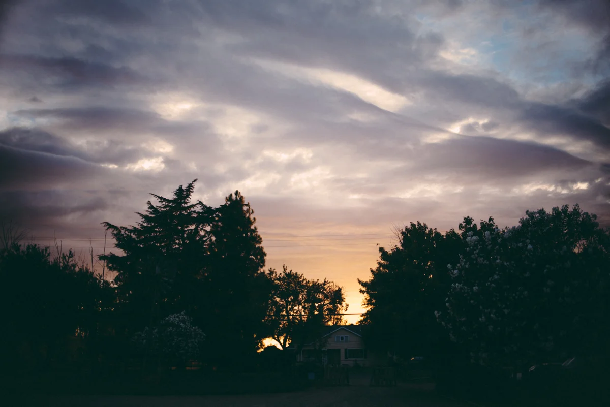 069_D8000670_SS_NOWM.jpg
