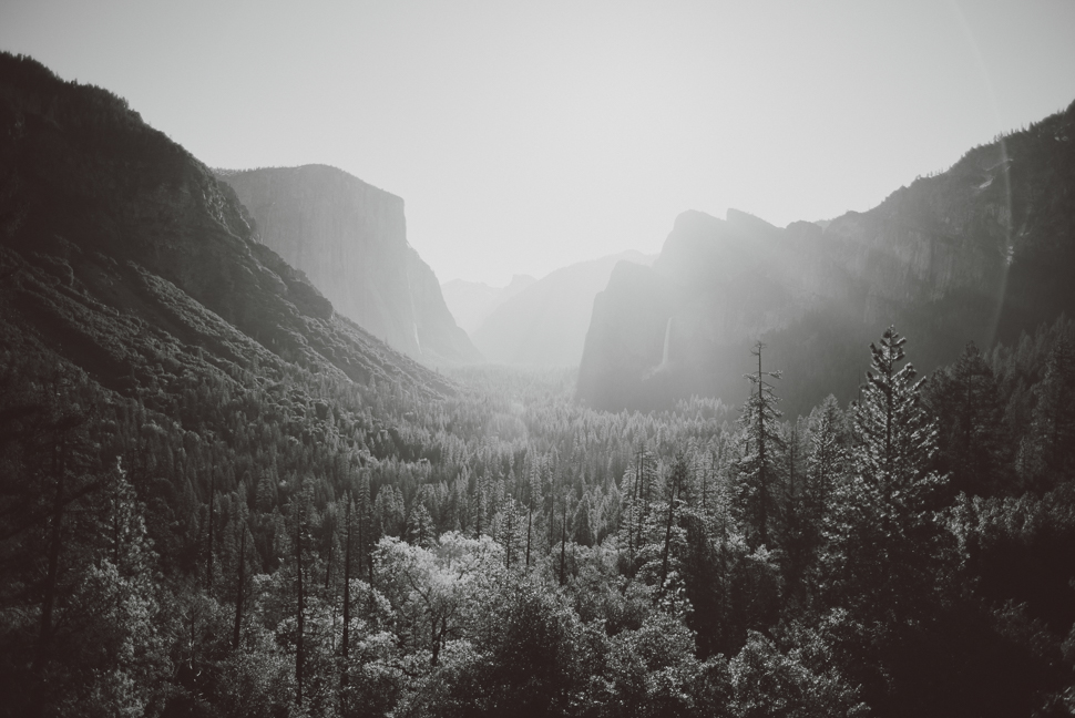001_01_LOVE+WOLVES_Nicole+Erik_BW_SS_NOWM.jpg