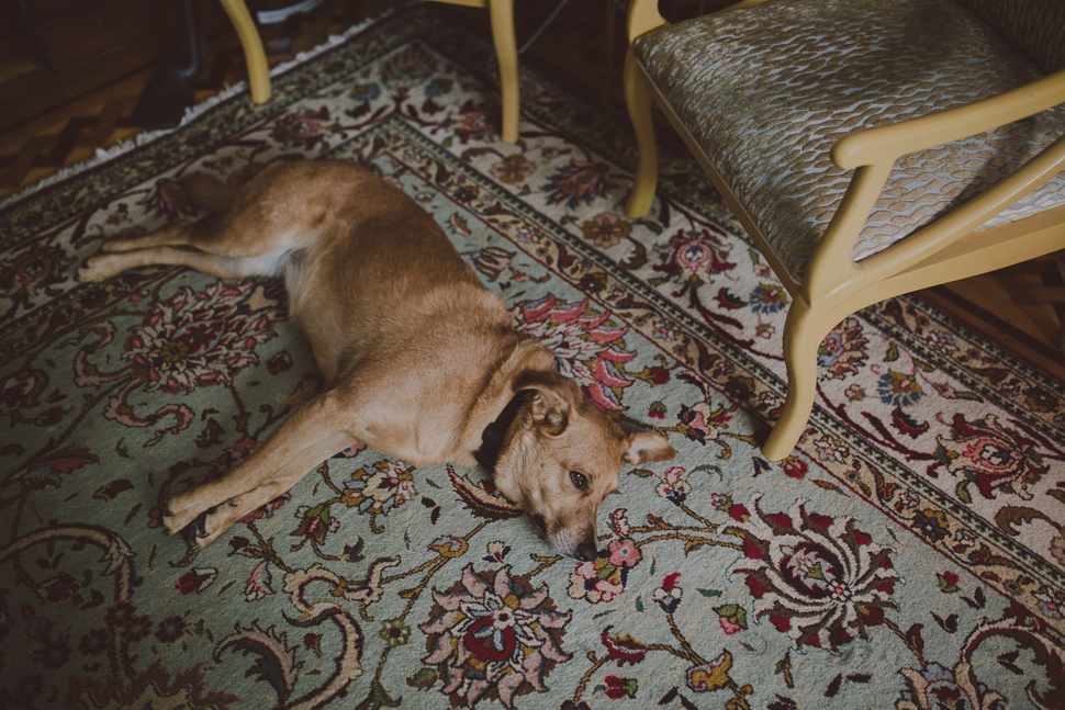 001_01_LOVE+WOLVES_20180616_Julie+Ben_SS_NOWM.jpg