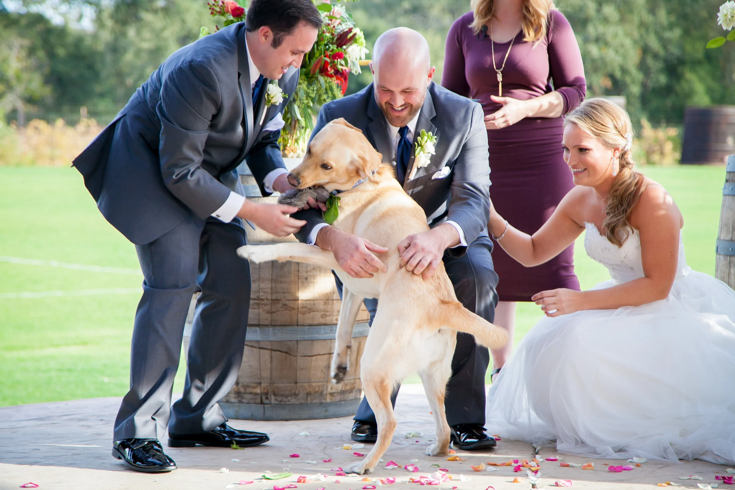 Alex and Rich's Wedding-349.jpg