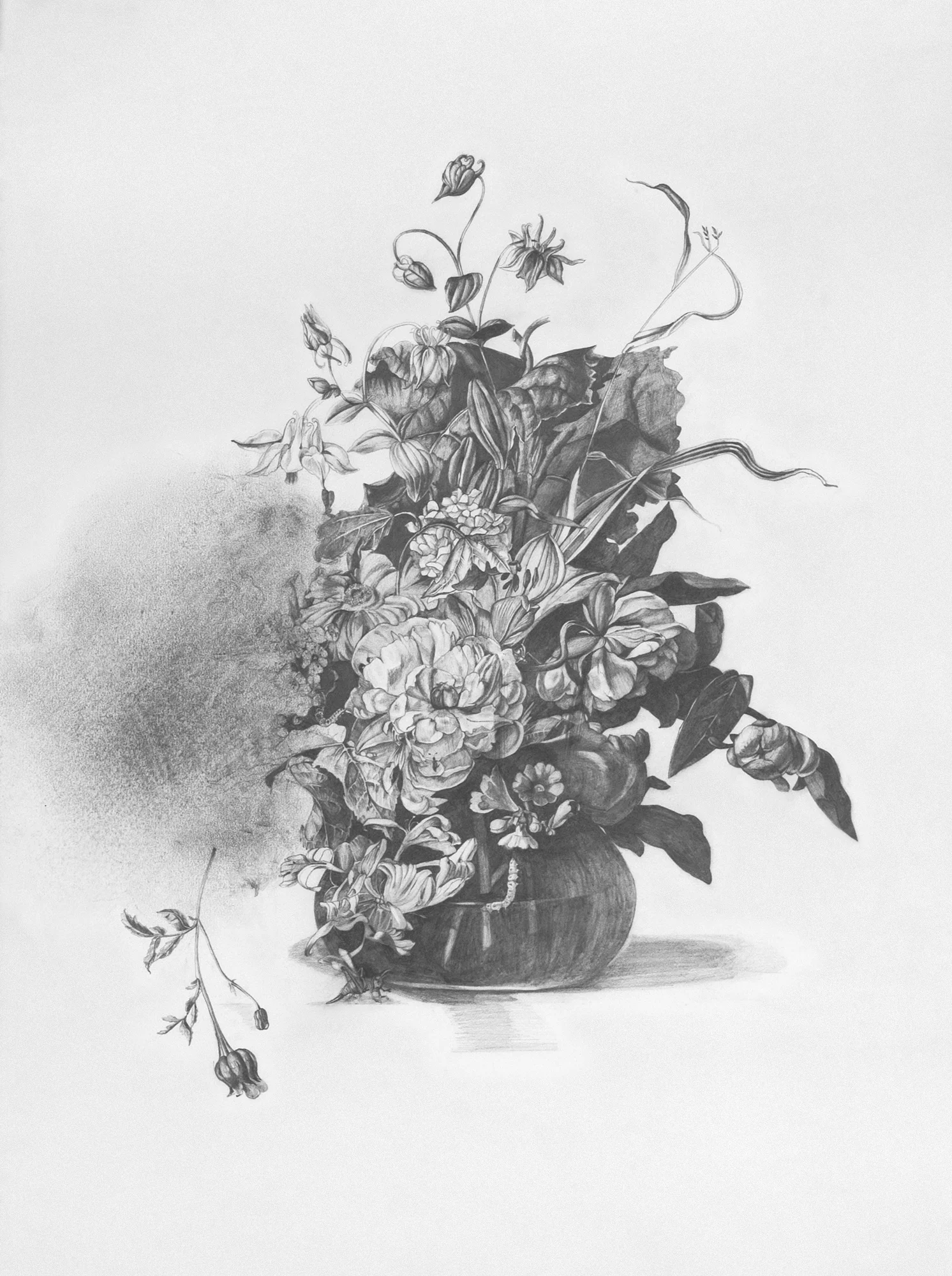 Untitled (Ruysch)