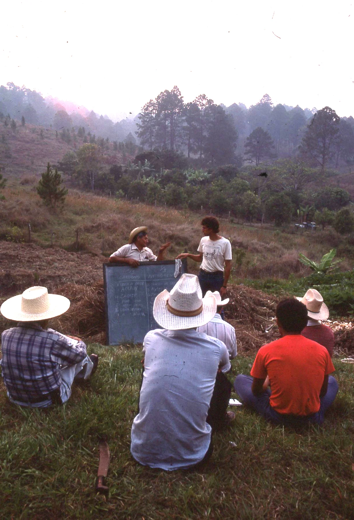 farm study.jpg