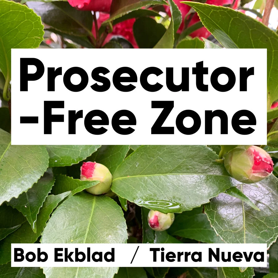Bob Ekblad: Prosecutor-Free Zone