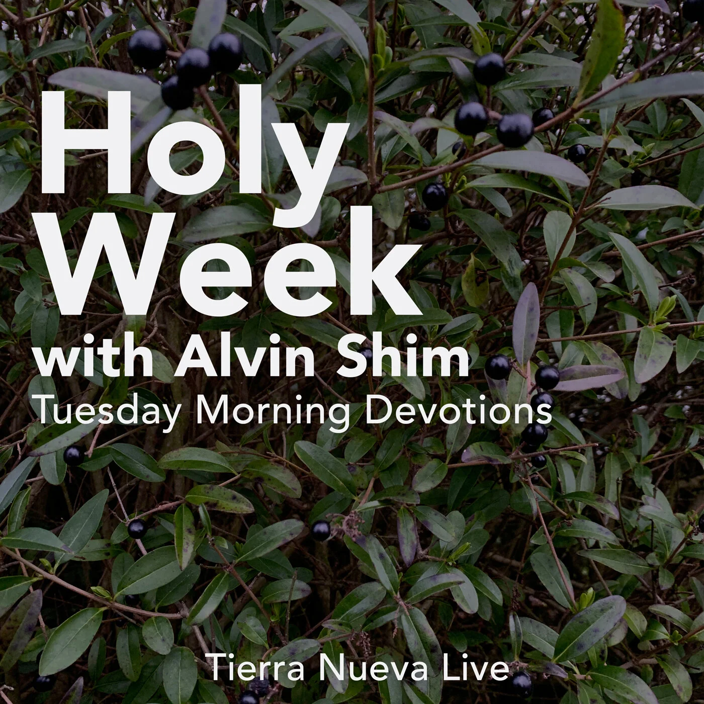 Holy Week: Morning Devotions with Alvin Shim