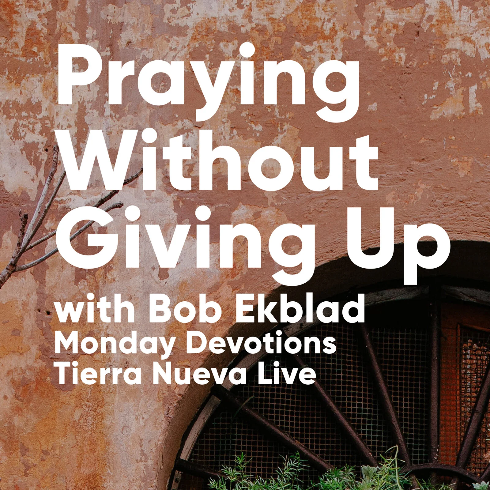 Praying Without Giving Up: Morning Devotions with Bob Ekblad: Luke 18:1-8