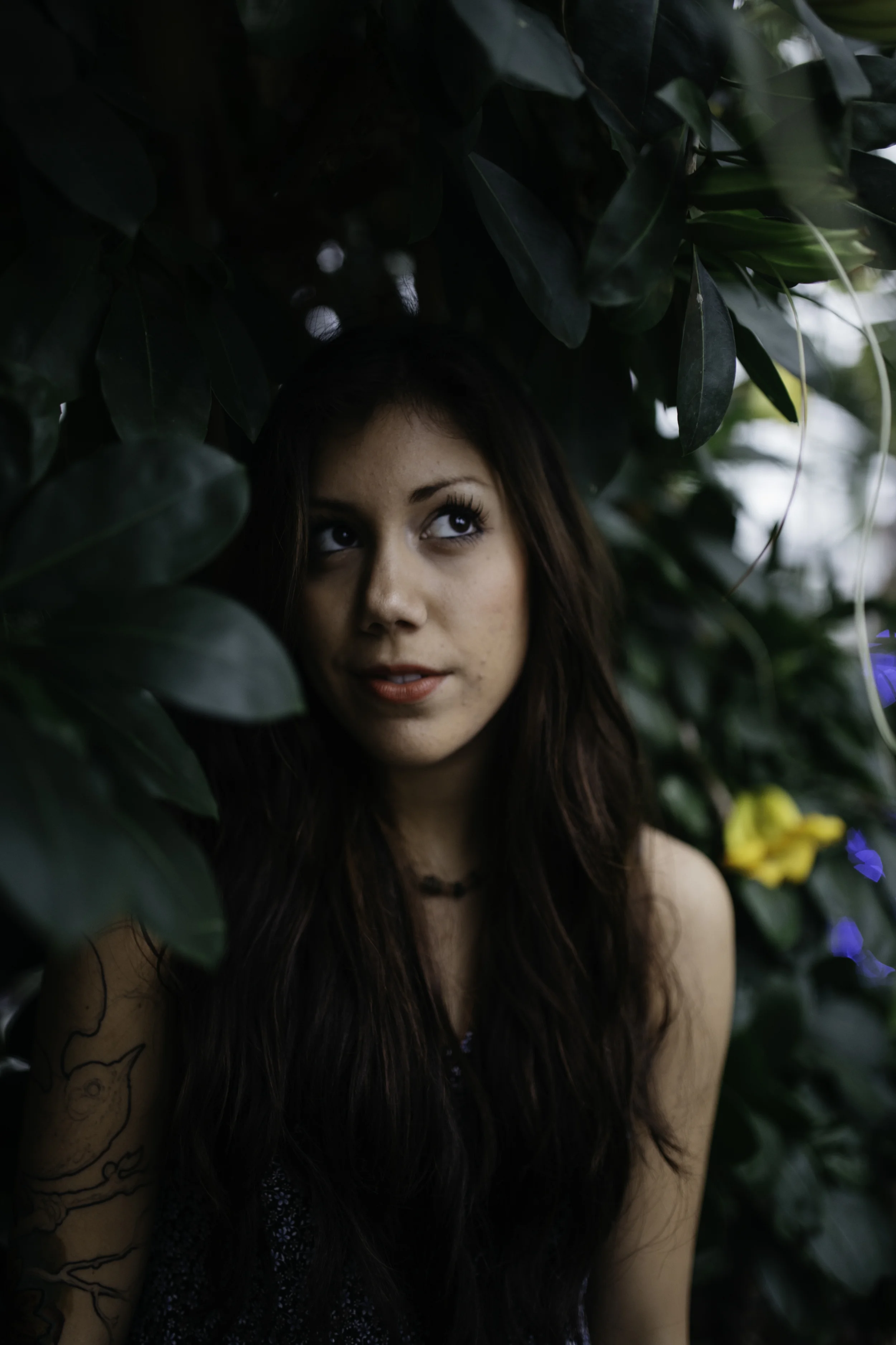 juliaproposal011.jpg