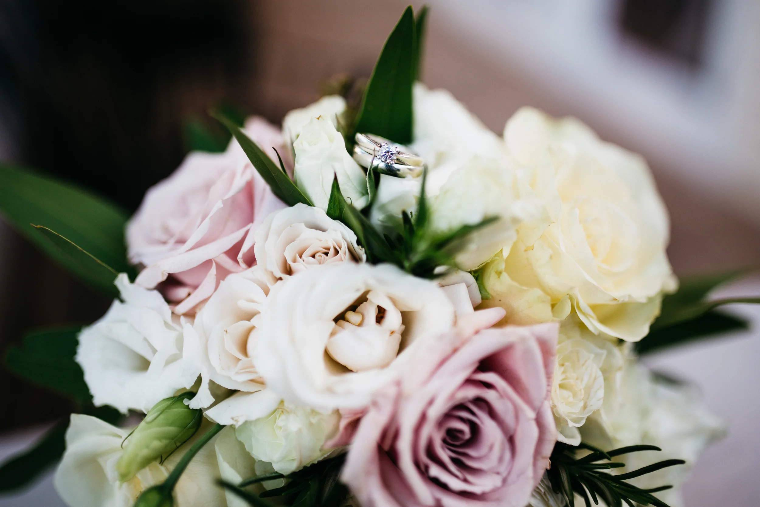ashley+thomas304.jpg