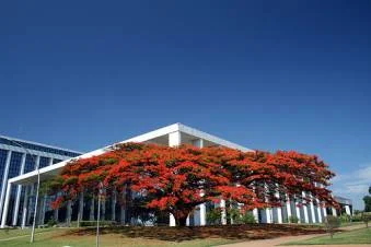 PROIM: SEGEP tem prazo até segunda (12) para informar os ministérios com vagas disponíveis