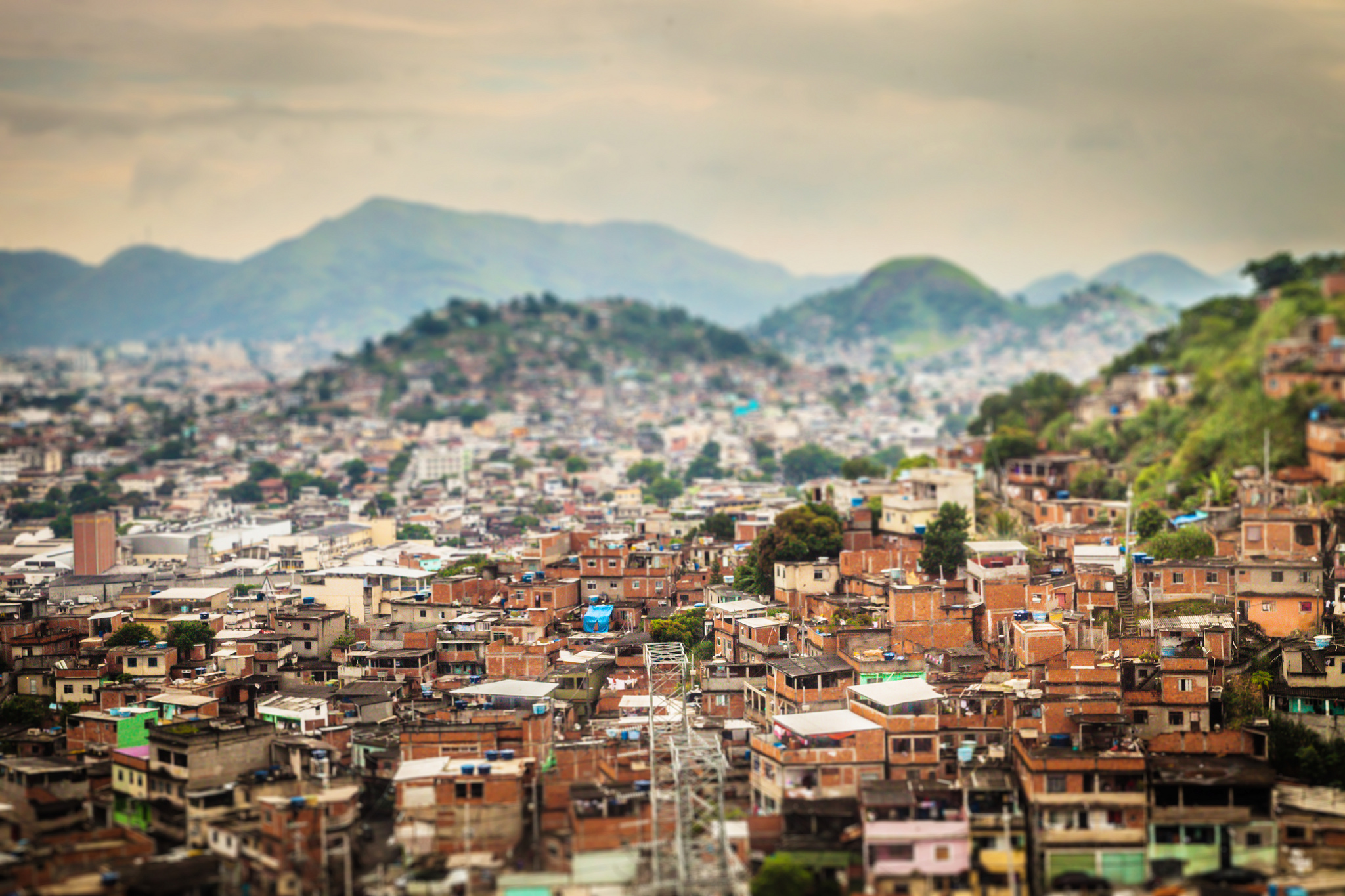 Entrevista: Lúcia Modesto e o Programa Bolsa Família