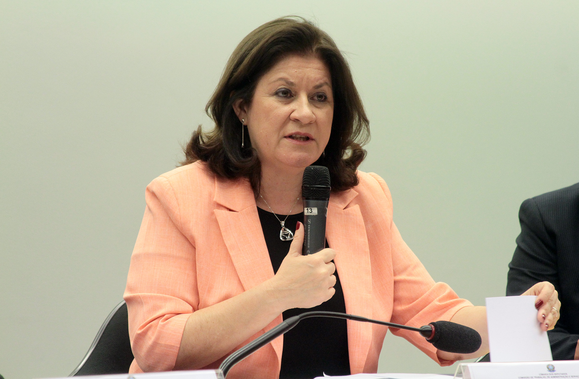 Miriam Belchior - Ministra do MPOG Foto: Viola Jr. Câmara dos Deputados