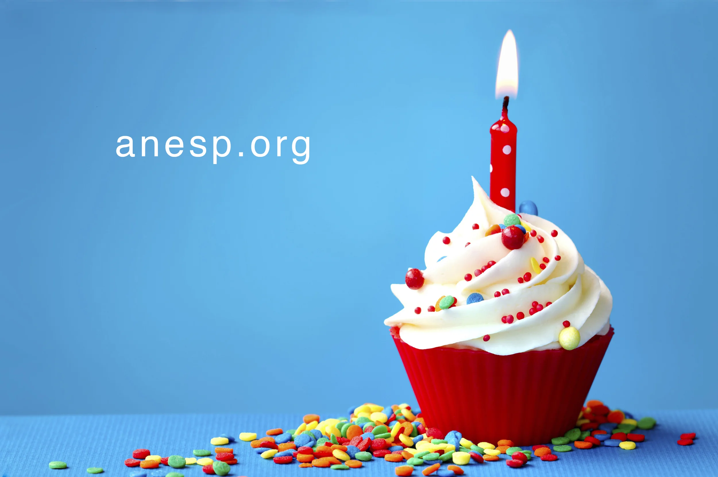 Novo site completa primeiro aniversário