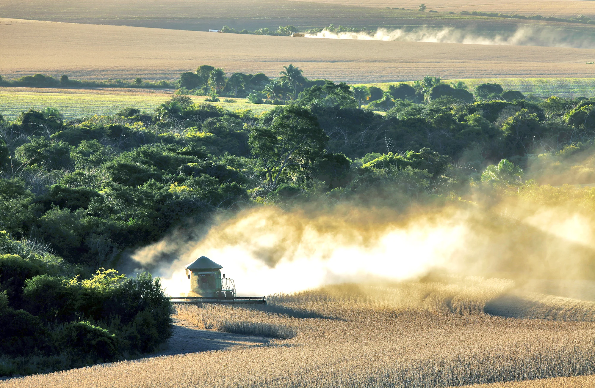 Secretaria de Relações Internacionais do Ministério da Agricultura seleciona servidores do Ciclo de Gestão