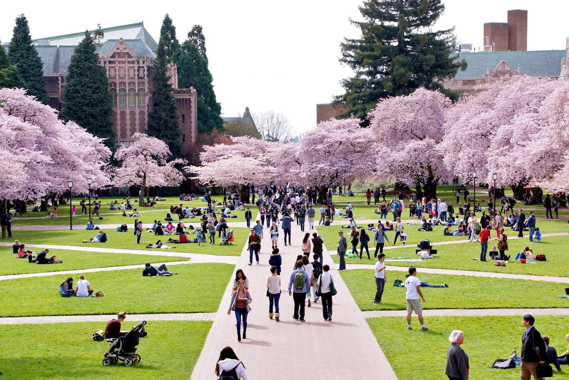 SEGES oferta número recorde de vagas e de áreas de interesse para PCLD