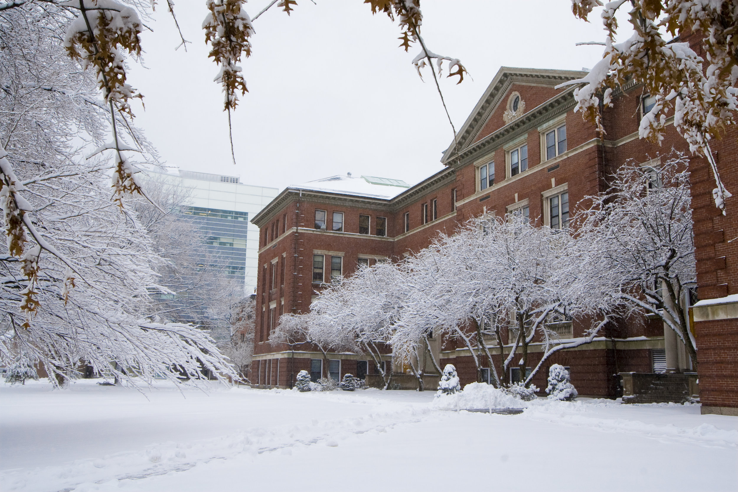 Foto: Harvard