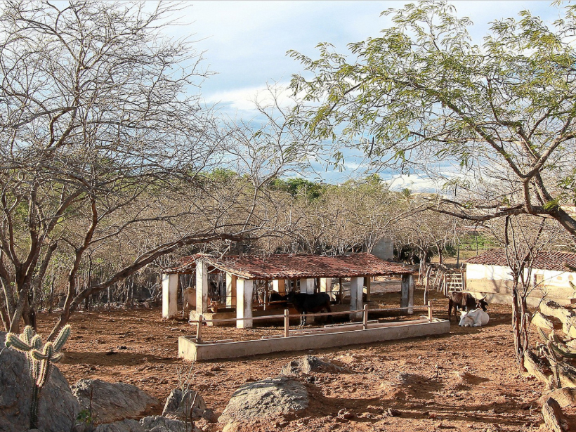 Foto: NH Dantas