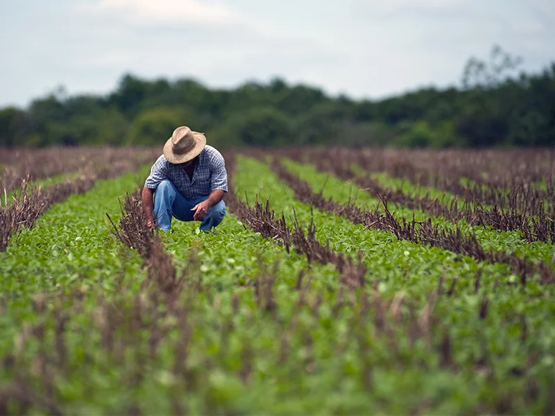 Ministério do Desenvolvimento Social e Agrário abre 6 vagas para EPPGGs